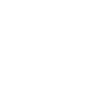 IRZ-logo-white