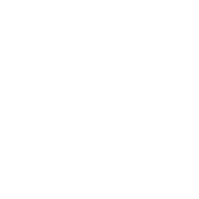 nsi-logo-white