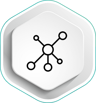 network icon