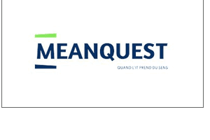 meanquest logo artesca